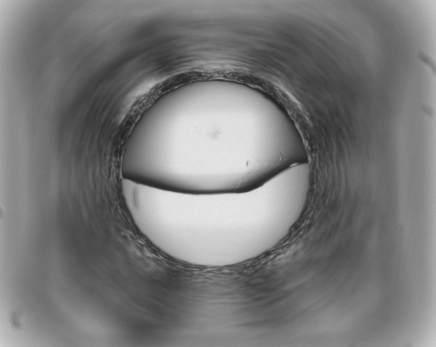 X0000096401016200801240959