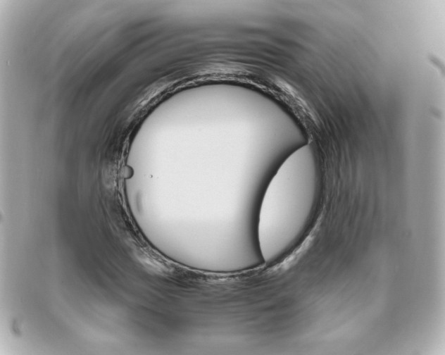 X0000096401017200801240959