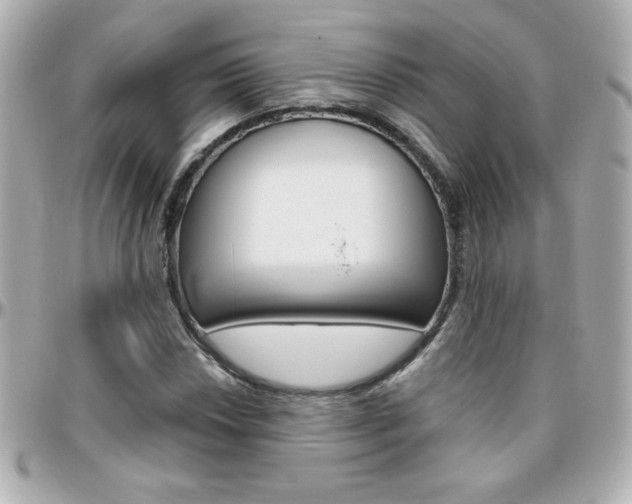 X0000096401018200801240959