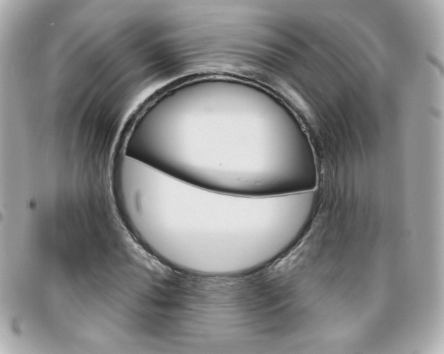 X0000096401020200801240959