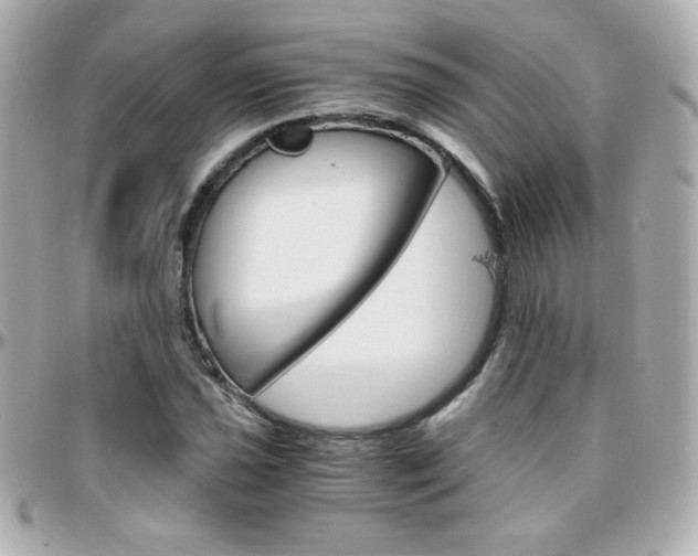 X0000096401021200801240959
