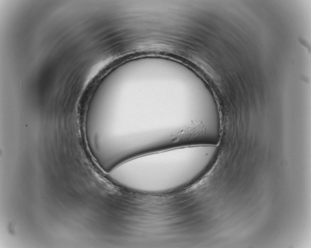 X0000096401022200801240959