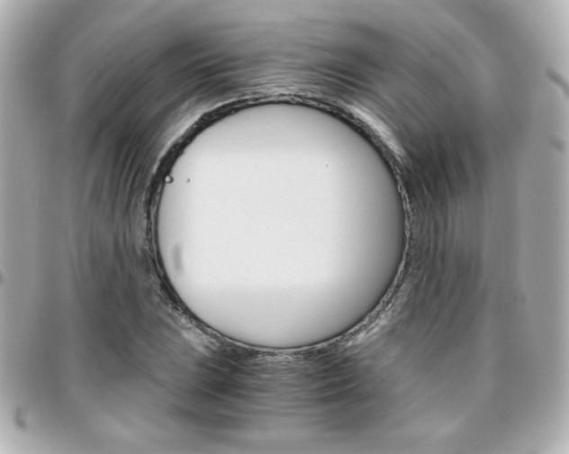 X0000096401023200801240959