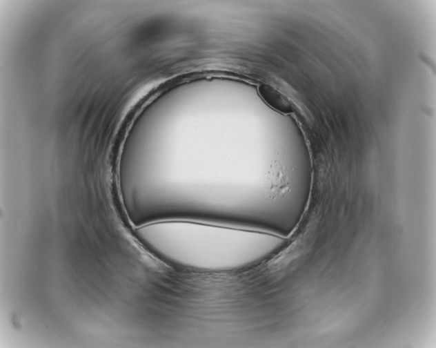 X0000096401024200801240959