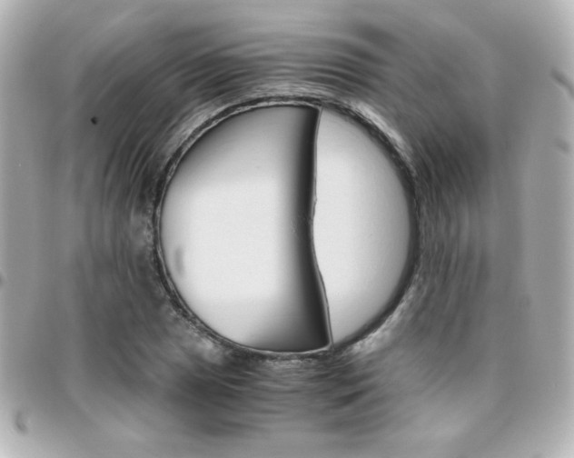 X0000096401025200801240959