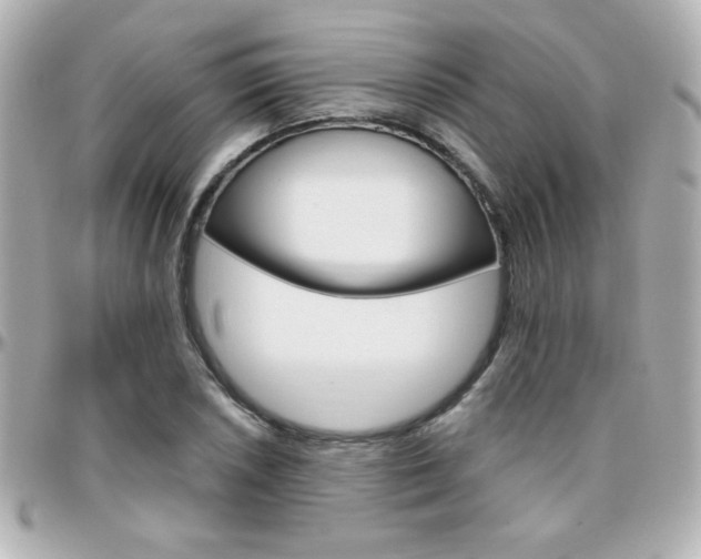 X0000096401026200801240959