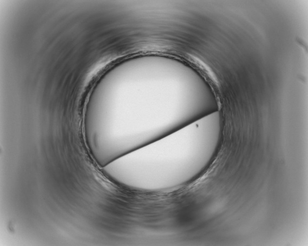 X0000096401027200801240959