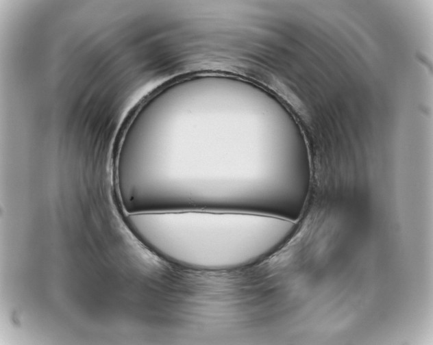 X0000096401028200801240959