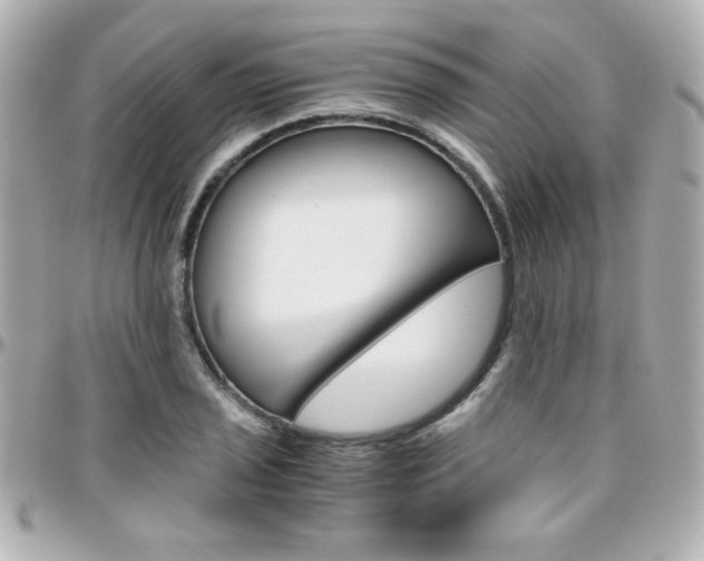 X0000096401029200801240959