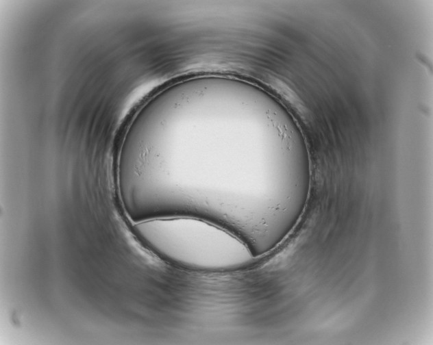X0000096401030200801240959