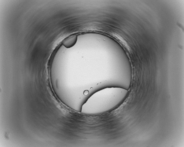 X0000096401031200801240959