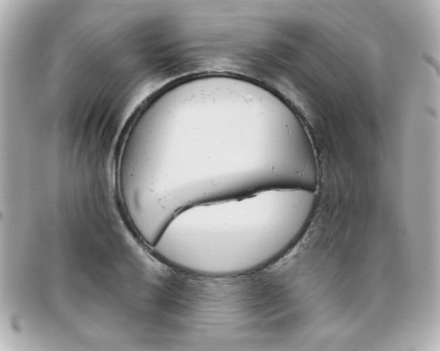 X0000096401032200801240959