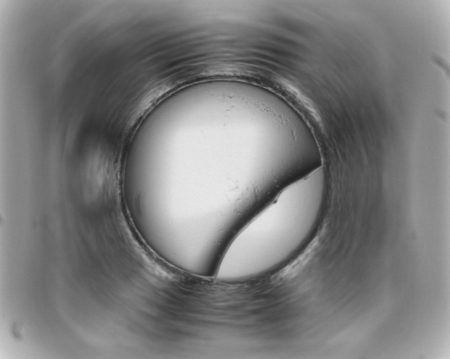 X0000096401033200801240959