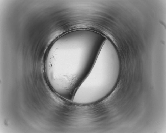 X0000096401034200801240959