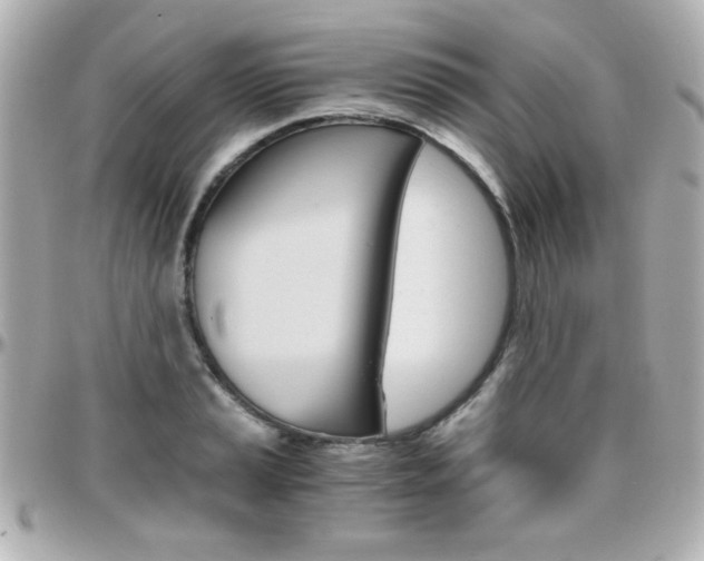 X0000096401037200801240959
