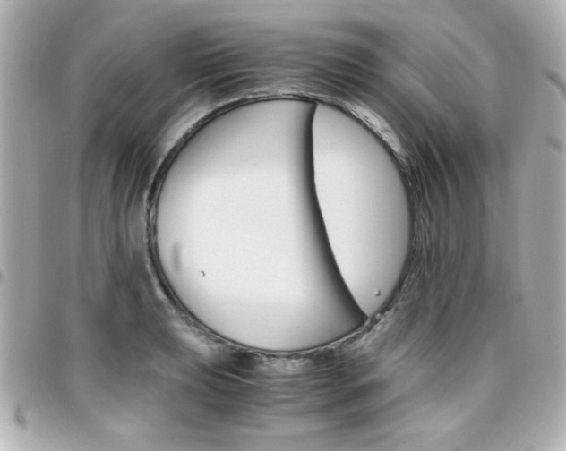X0000096401039200801240959