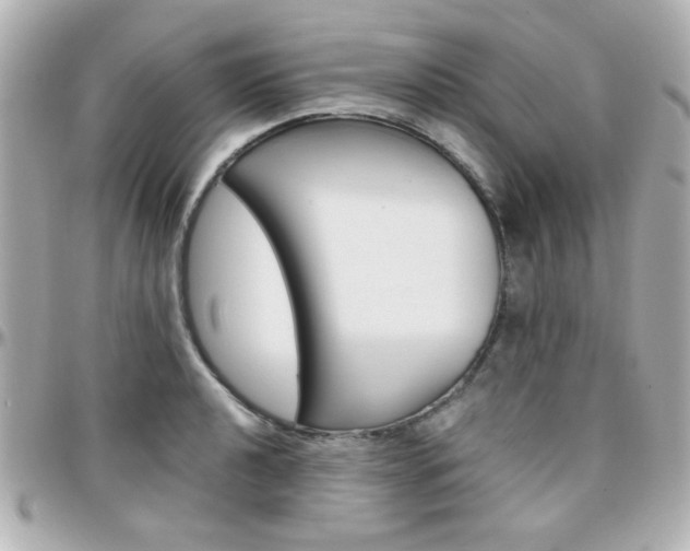 X0000096401040200801240959