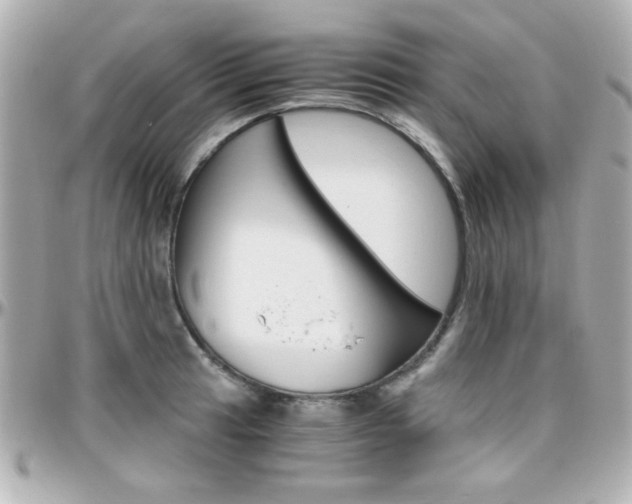 X0000096401041200801240959