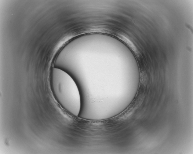 X0000096401043200801240959