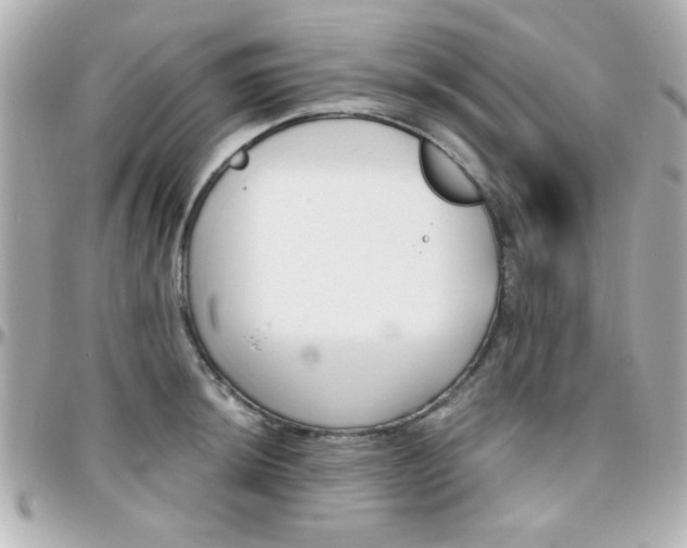 X0000096401044200801240959