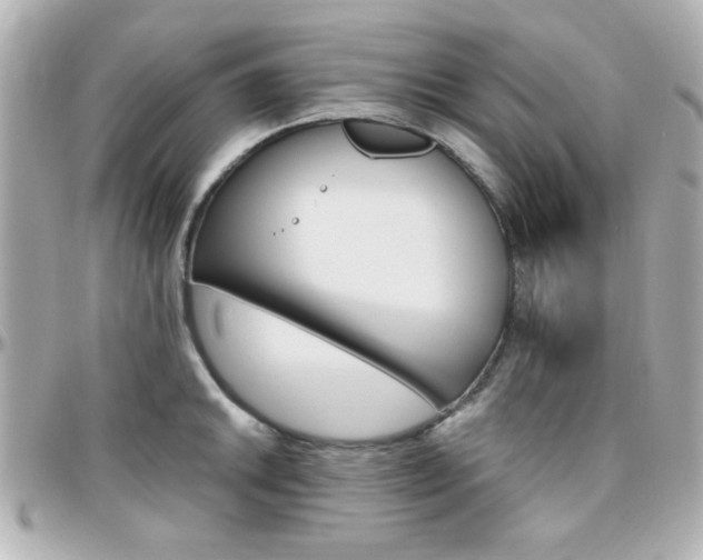 X0000096401046200801240959