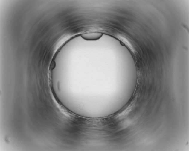 X0000096401047200801240959