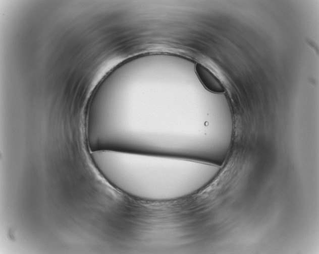 X0000096401048200801240959