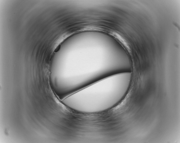 X0000096401049200801240959