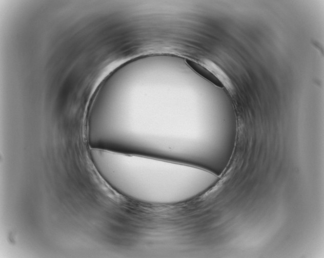 X0000096401052200801240959