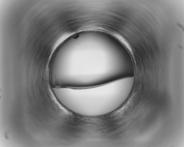 X0000096401053200801240959