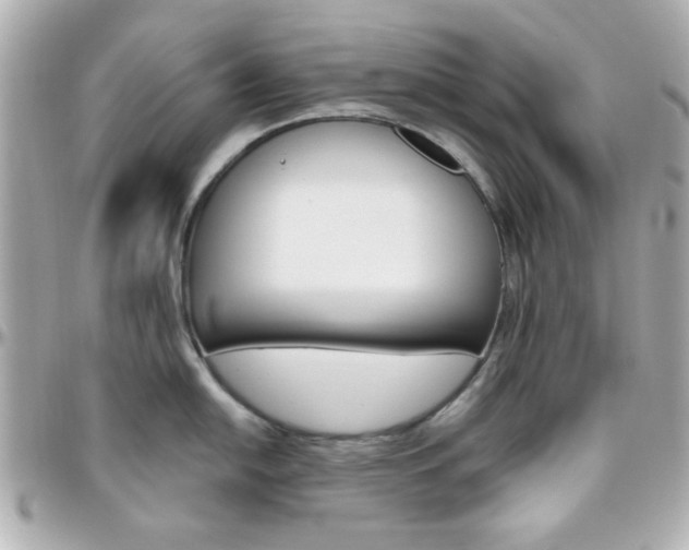 X0000096401054200801240959