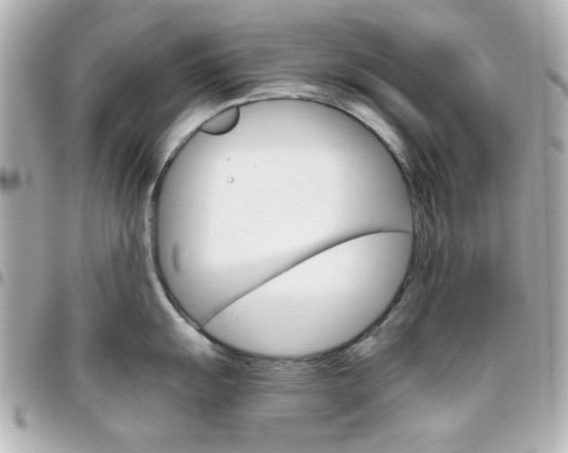 X0000096401055200801240959