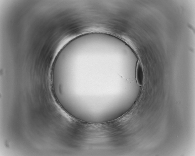 X0000096401056200801241000