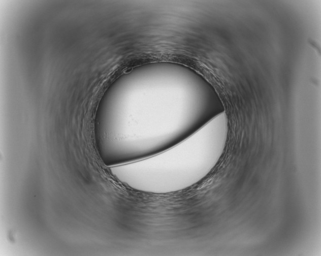 X0000096401057200801240959