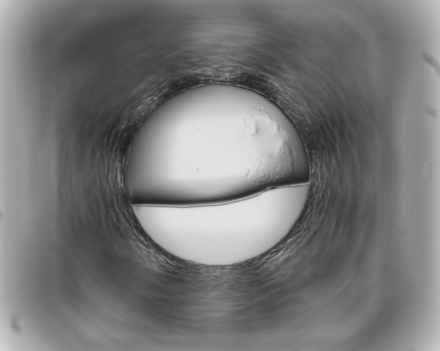 X0000096401058200801240959
