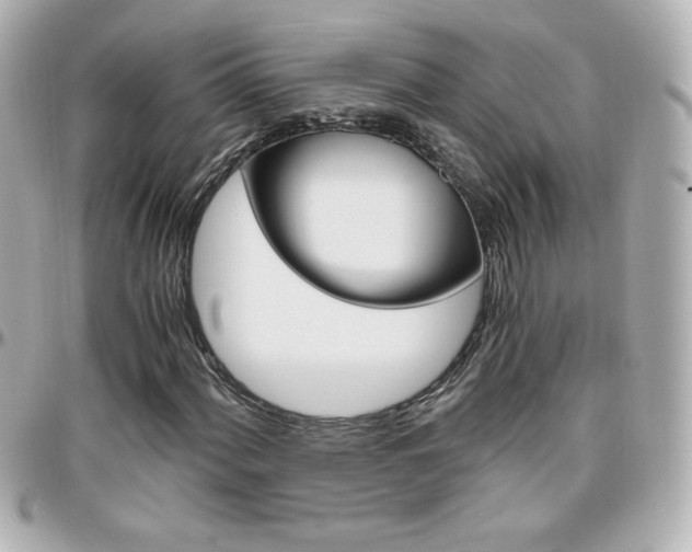 X0000096401060200801240959