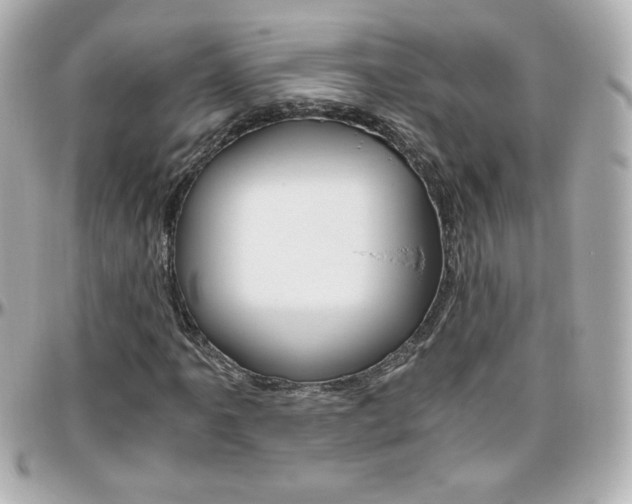 X0000096401061200801240959