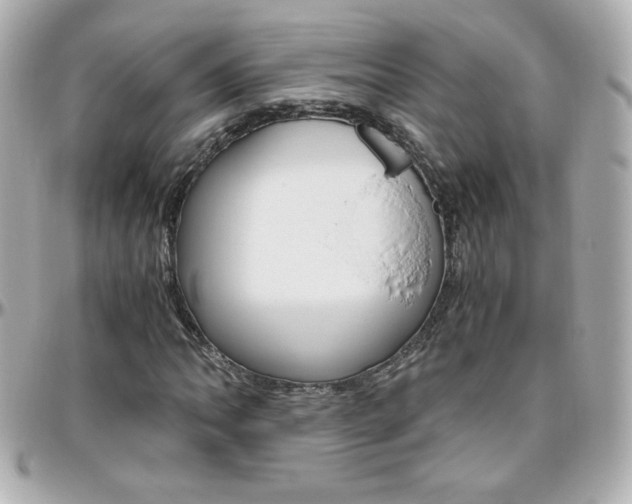 X0000096401062200801240959