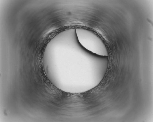X0000096401063200801240959