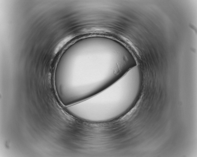 X0000096401066200801240959