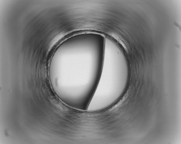 X0000096401069200801240959