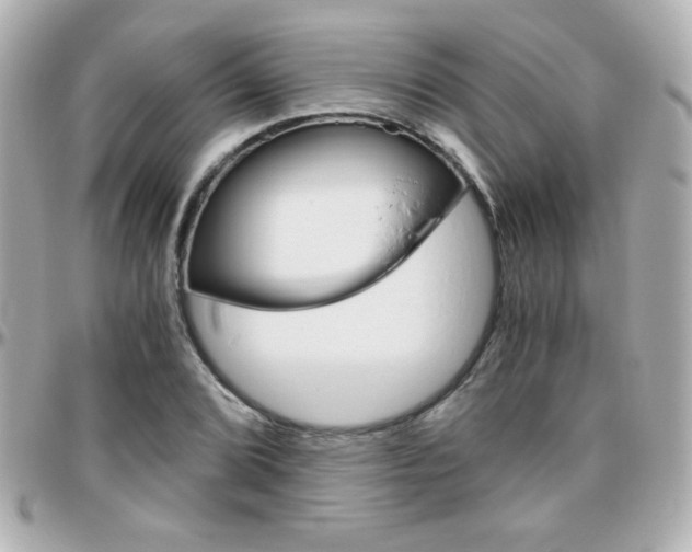 X0000096401072200801240959