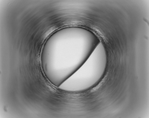 X0000096401073200801240959