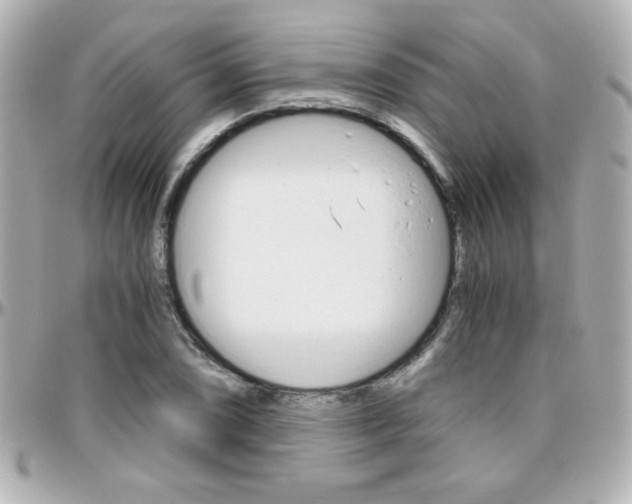 X0000096401074200801240959