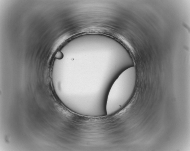 X0000096401075200801240959