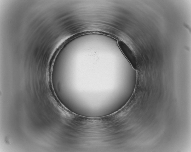 X0000096401076200801240959
