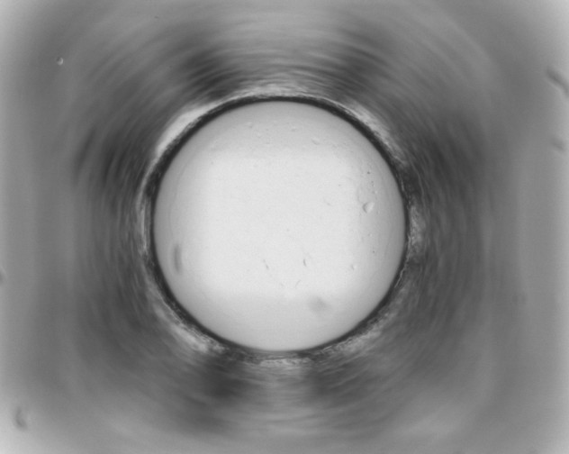 X0000096401078200801240959