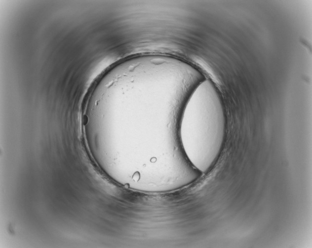 X0000096401079200801240959