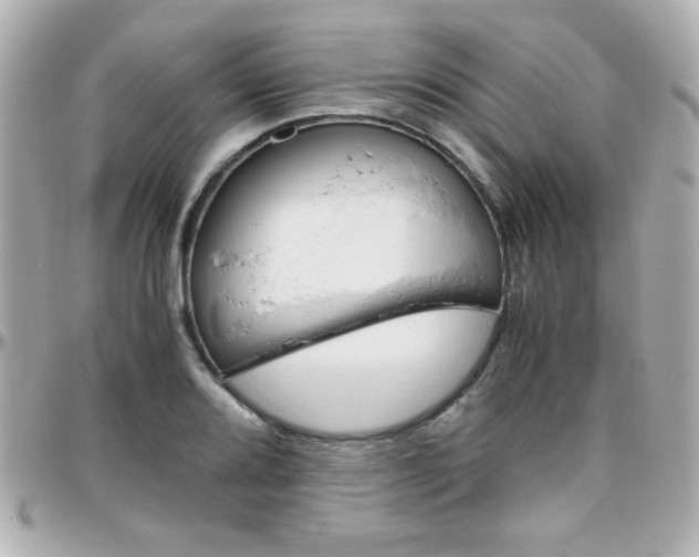 X0000096401080200801240959