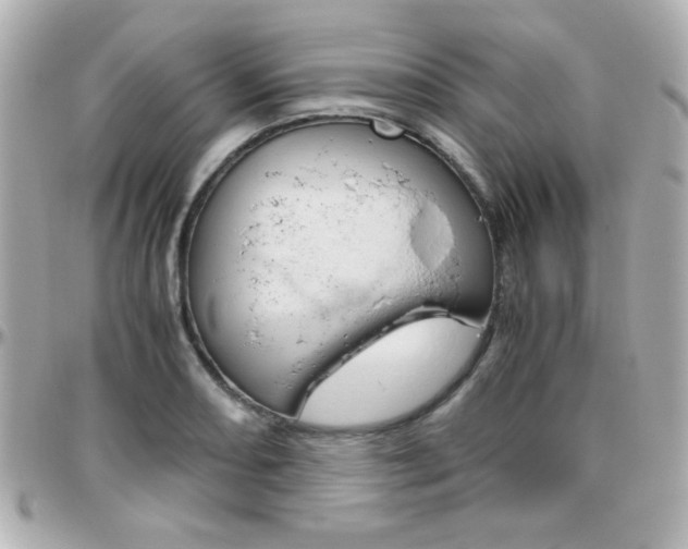 X0000096401082200801240959